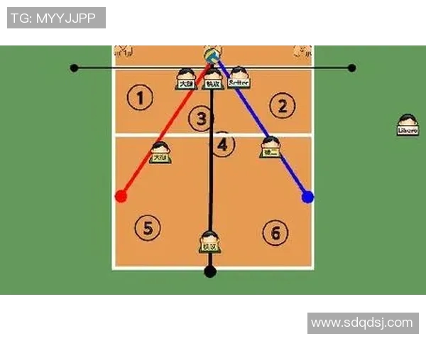 上海与深圳排球队对决后的战术分析与节奏探讨